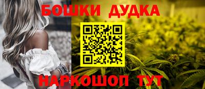 стафф Лесосибирск