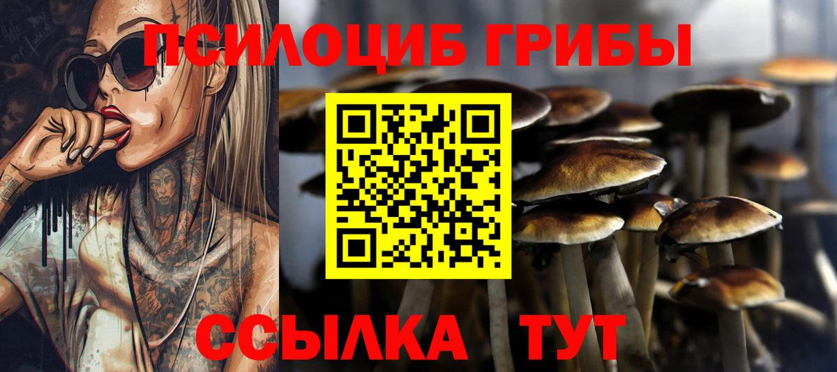 Галлюциногенные грибы мицелий Салехард