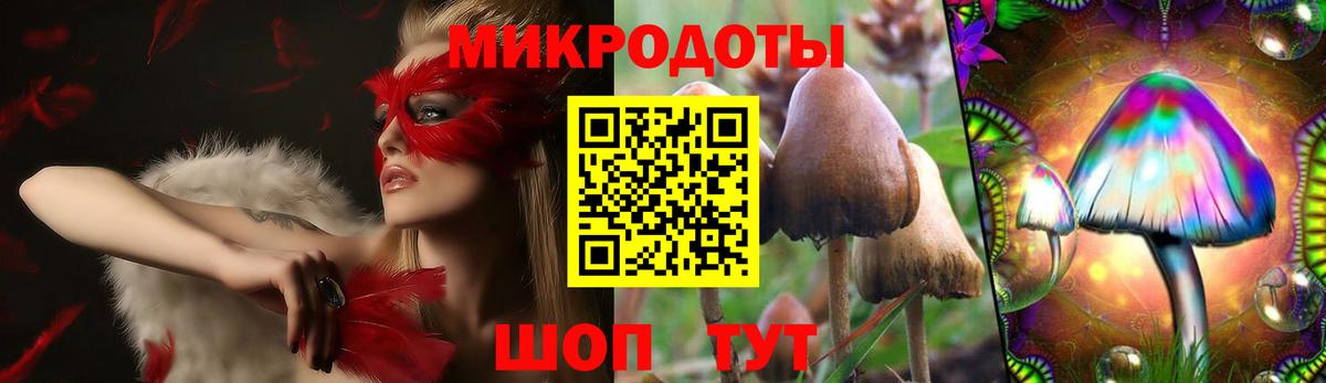 Салехард  цены наркотик  Вход с VPN  Галлюциногенные грибы Psilocybe 